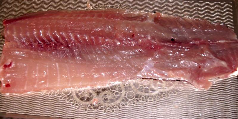 Kapří filet