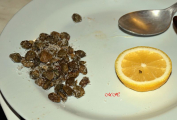 [04]Kapary a citron