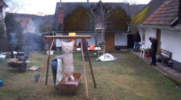 Žďárská domácí zabijačka - tradiční a pravá, jako z obrázků pana malíře Lady  - část 1.