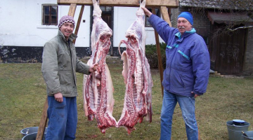 Žďárská domácí zabijačka - tradiční a pravá, jako z obrázků pana malíře Lady  - část 3.
