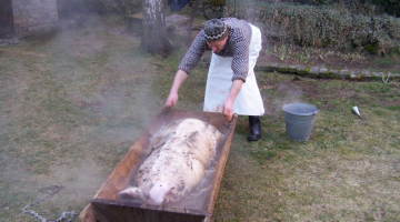 Žďárská domácí zabijačka - tradiční a pravá, jako z obrázků pana malíře Lady  - část 4.