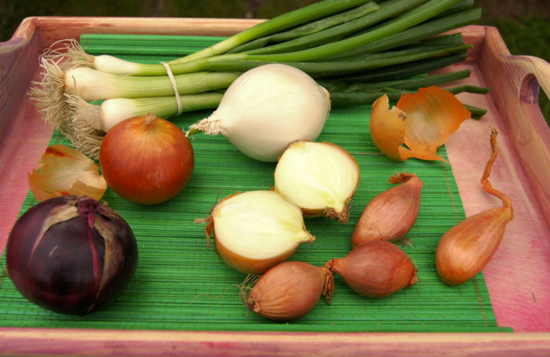 Cibulové sexteto