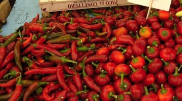 Uzená paprika – pimentón