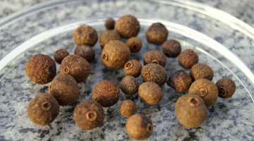 Nové koření aneb „MÁTE CHUŤ?“