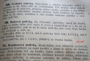 Recept z kuchařky vydané v r. 1901