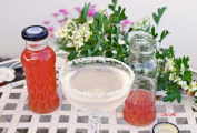 Rebarborový sirup   rebarborový koktejl